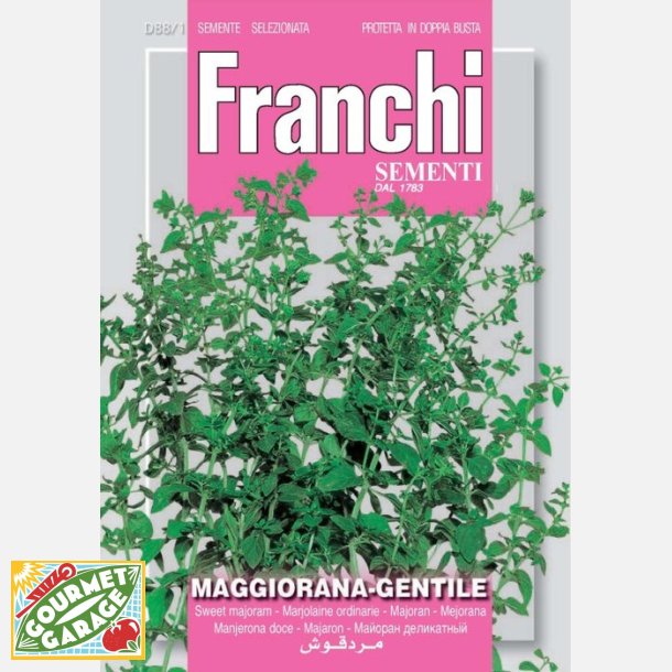 MEJRAM - Maggiorana gentile 