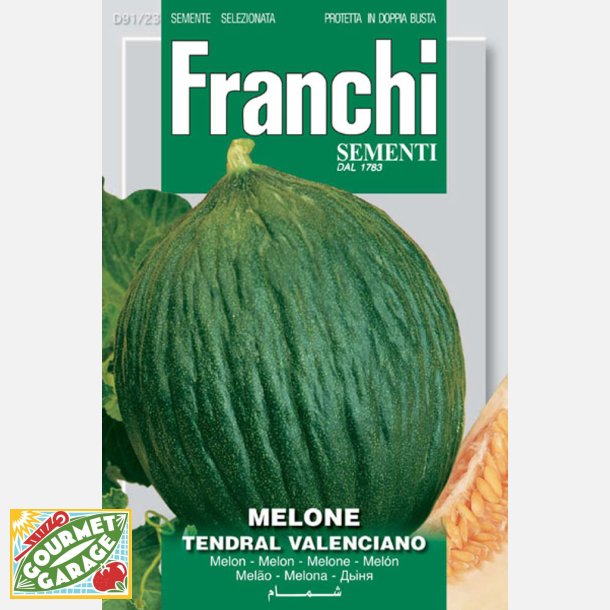Melon Tendral Verde Valenciano