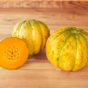 Melon De Bellegarde - ekologiska frer