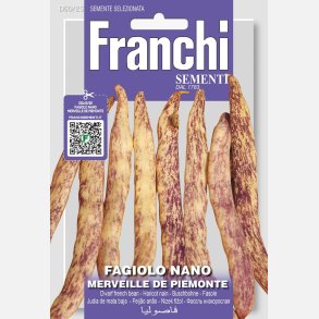 Brytbna Merveille de Piemonte - STORPACK