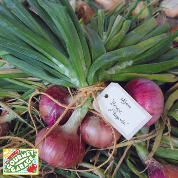 L�k r�d MORADA DE AMPOSTA - Ekologiska fr�er