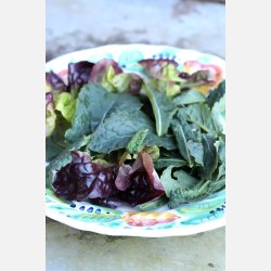 Svartkl Nero di Toscana - STORPACK