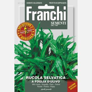 OLIVBLADSRUCOLA - Rucola selvatica foglia d'ulivo