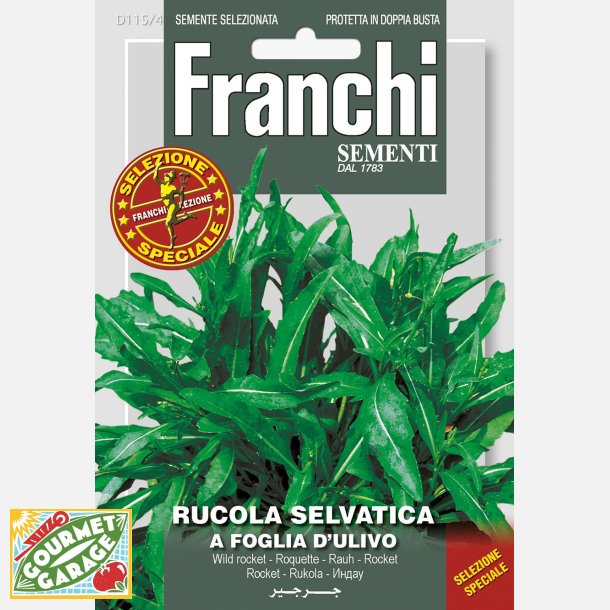 Olivbladsrucola - Rucola selvatica foglia d'ulivo