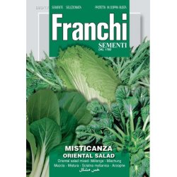 Orientalisk mixsallat (Misticanza Oriental salad) - STORPACK
