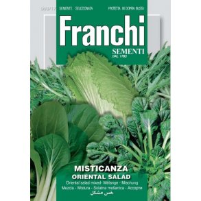 Orientalisk mixsallat (Misticanza Oriental salad) - STORPACK