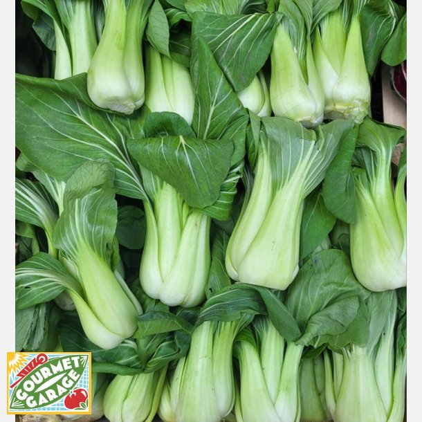 PAK-CHOI (Franchi)