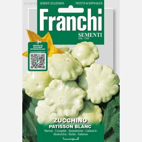 Zucchino PATISSON BLANC 