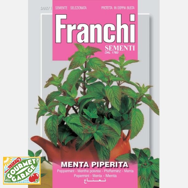 Pepparmynta (Menta piperita)