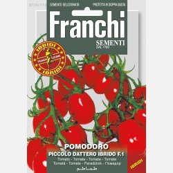 Tomat PICCOLO DATTERO F.1 (Valido F.1) 