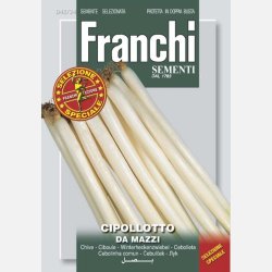 Salladslk japansk (cipollotto da mazzi) Kyoto Market