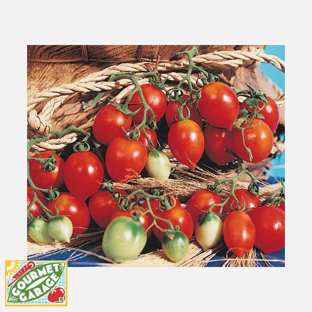 Tomat Principe Borghese (da appendere) 