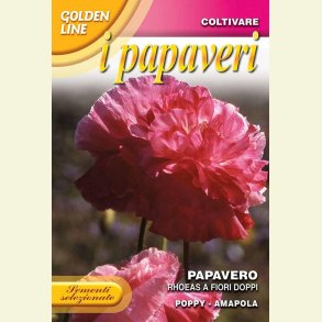 Kornvallmo Rhoeas a fiori doppi