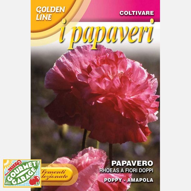 Kornvallmo Rhoeas a fiori doppi