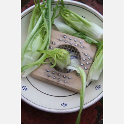 Cicoria catalogna Brindisina (puntarelle) - STORPACK