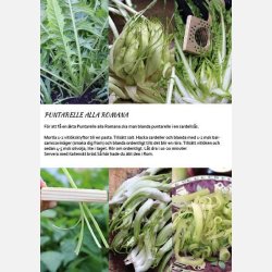 Tagliapuntarelle/Puntarelleverktyg