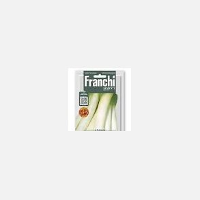 Purjol�k MONSTRUEUX D'ELBEUF (Franchi)