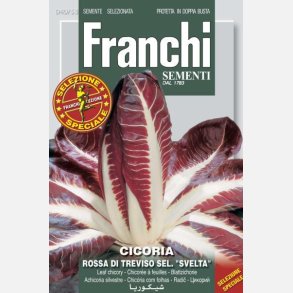 Radicchio Rossa di Treviso sel. 