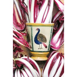 Radicchio rossa di Treviso tardiva 