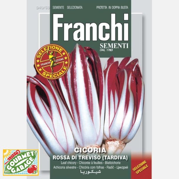 Radicchio rossa di Treviso tardiva 
