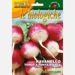 Rdisa Tondo a punta bianca (Gaudry 2) - ekologiska frer