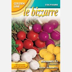 R�dismix - RAVANELLI COLORATI (Franchi)