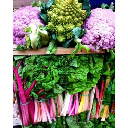 Blomk�l ROMANESCO PRECOCE 