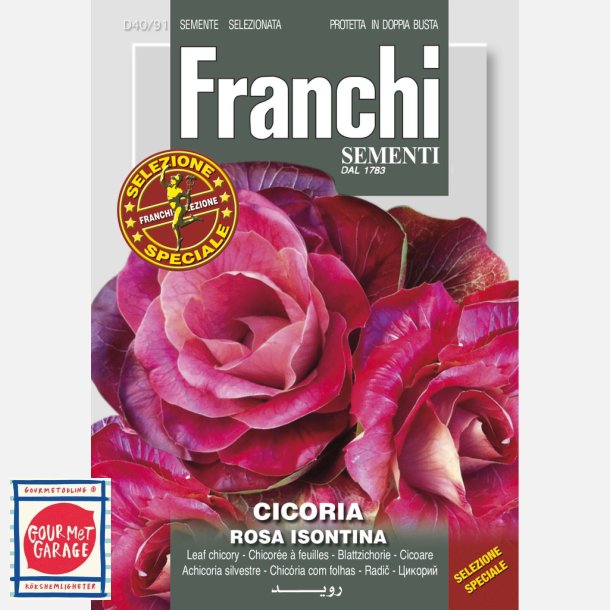 Cicoria Rosa Isontina / Goriziana 