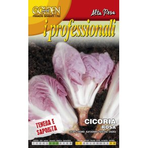 Cicoria rosa - rosa radicchio 