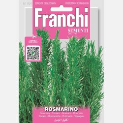 ROSMARIN 