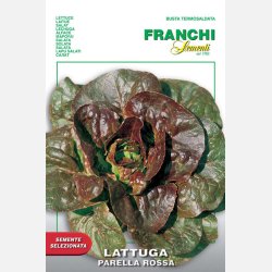 Sallat ROUGETTE DE MONTPELLIER/PARELLA ROSSA (Franchi) 
