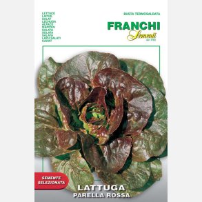 Sallat ROUGETTE DE MONTPELLIER/PARELLA ROSSA (Franchi) 