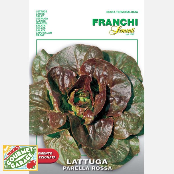 Sallat Rougette de Montpellier/Parella rossa