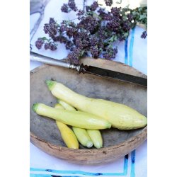 Zucchetta Rugosa Friulana 