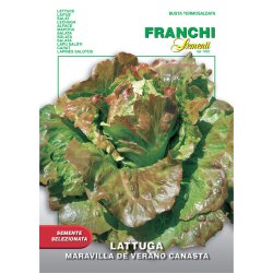 Bataviasallat Maravilla de verano Canasta - STORPACK