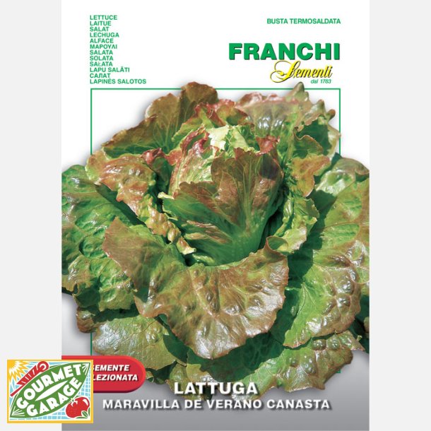 Bataviasallat Maravilla de verano Canasta - STORPACK