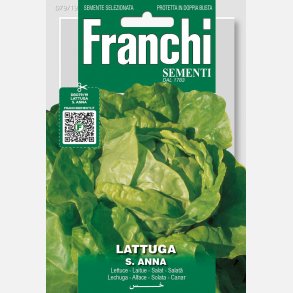 Huvudsallat S. Anna - STORPACK