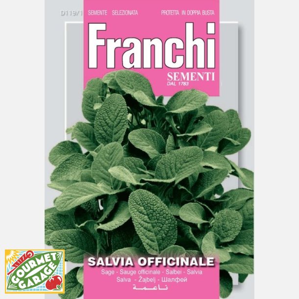Kryddsalvia (Salvia officinale)