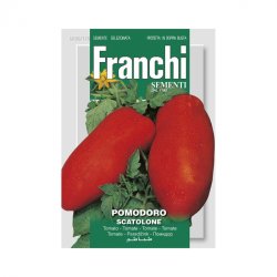 Tomat SCATOLONE (Franchi)