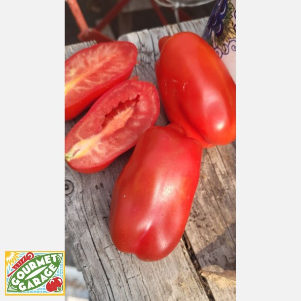 Tomat SCATOLONE (Franchi)