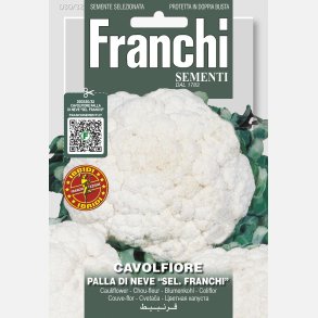 Blomkl  Palla di neve sel. Franchi 