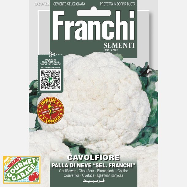 Blomkl  Palla di neve sel. Franchi 