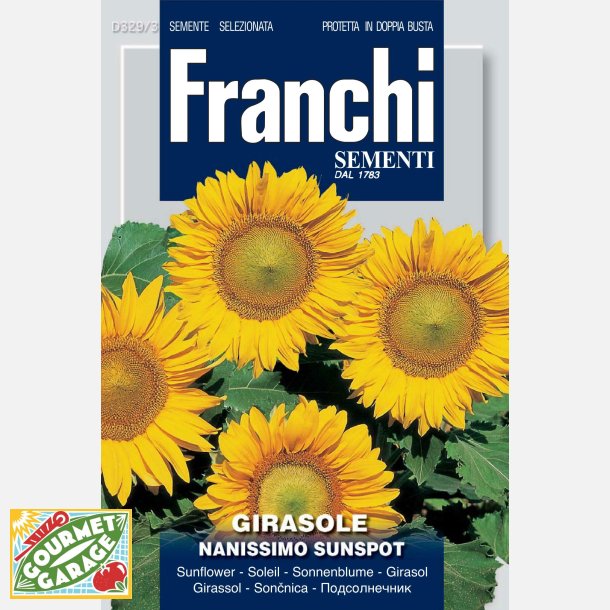 Solros Nanissimo Sunspot - dvrgsolros 