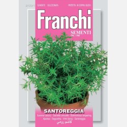 Kyndel (Santoreggia) 