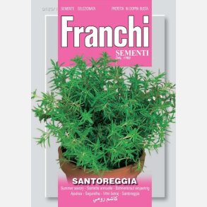 Kyndel (Santoreggia) 