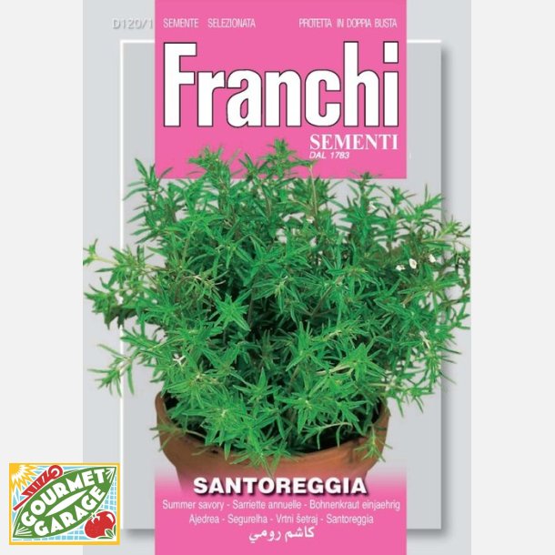 Kyndel (Santoreggia) 