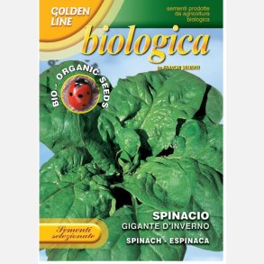 Spenat GIGANTE D'INVERNO - ekologiska frer 