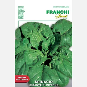 Spenat GIGANTE D'INVERNO 
