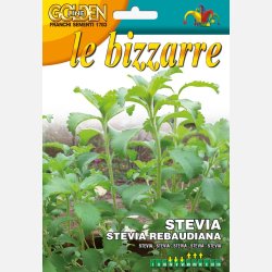 Stevia - Stflockel
