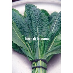 Svartkl Nero di Toscana - STORPACK